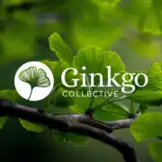 The Story Behind Ginkgo Collective The Story Behind Ginkgo Collective